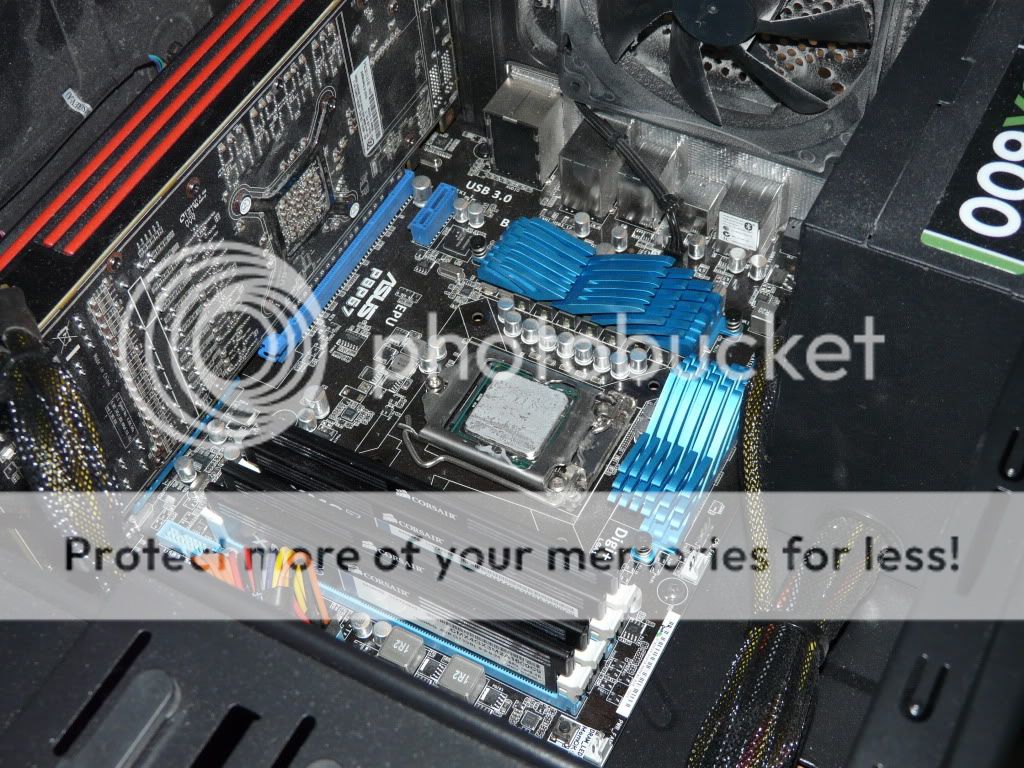 P1050164-Copy.jpg