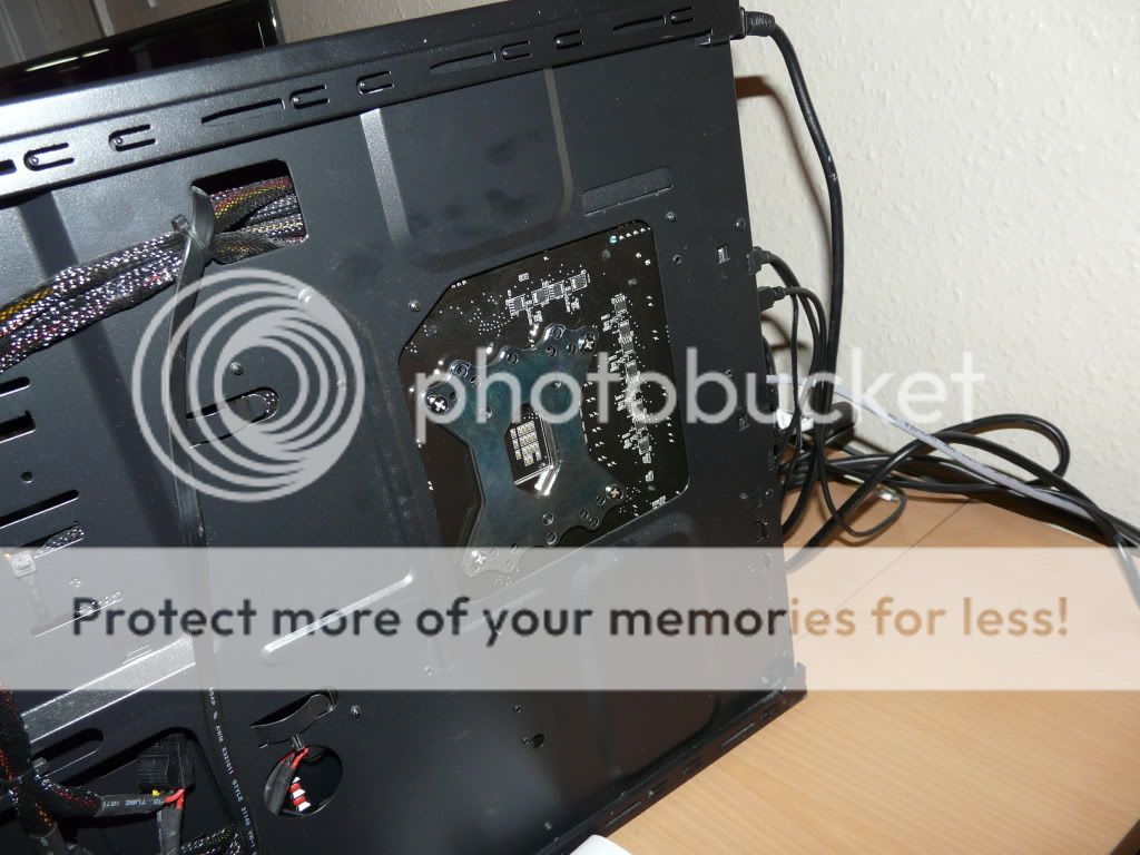 P1050169-Copy.jpg