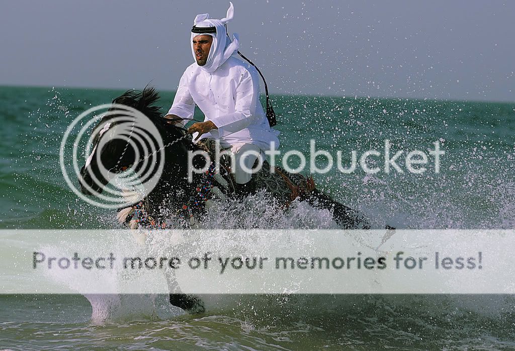 2339917269 8ef969a3eb b