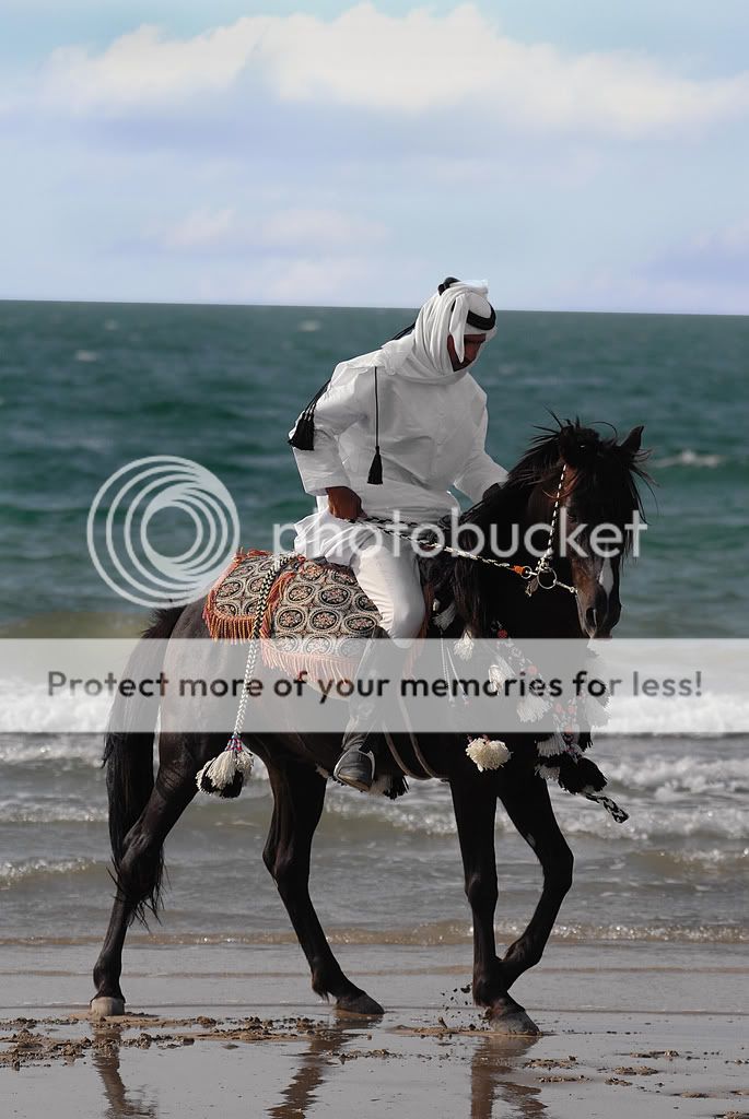 2340774310 6b70c5102e b