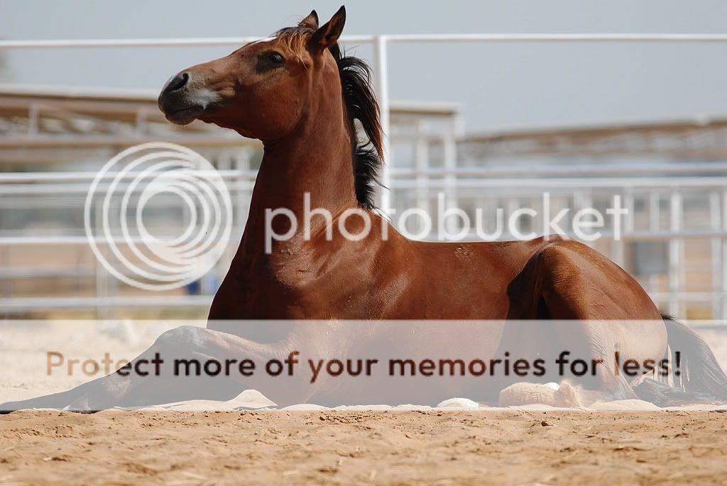 2378941292 65522ed7e6 b