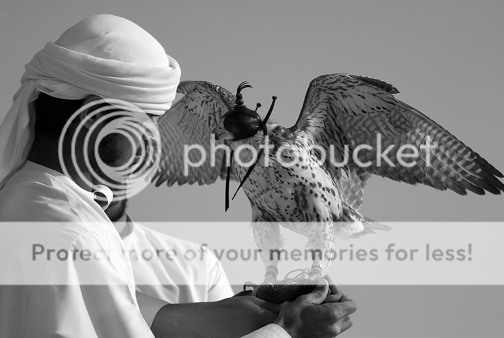 2811709490 b4ac996a80 b