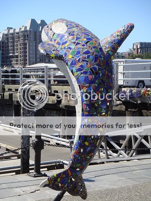 dolphin