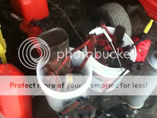 IMG_0633_zpsfabb25a2.jpg IMG_0633_zpsfabb25a2.jpg