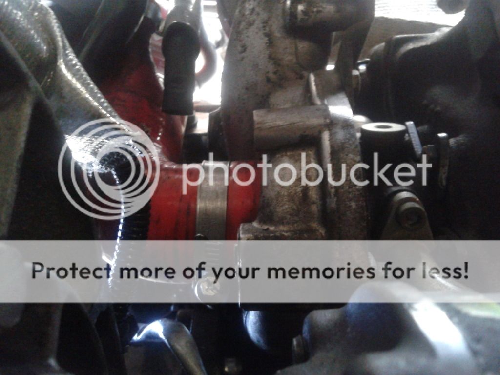 20120804_185507.jpg