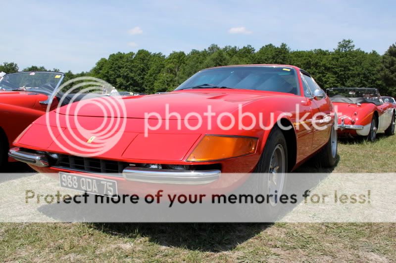 [Image: IMG_2177.jpg]