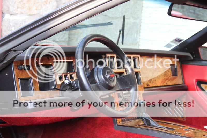 [Image: IMG_3495.jpg]