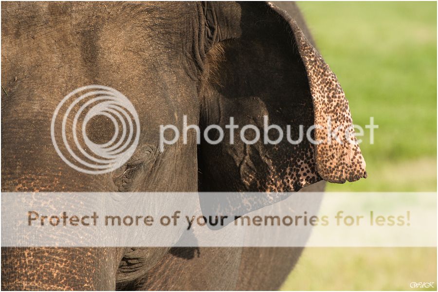 Fotografie