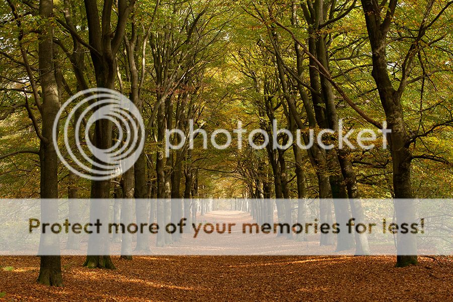 Fotografie