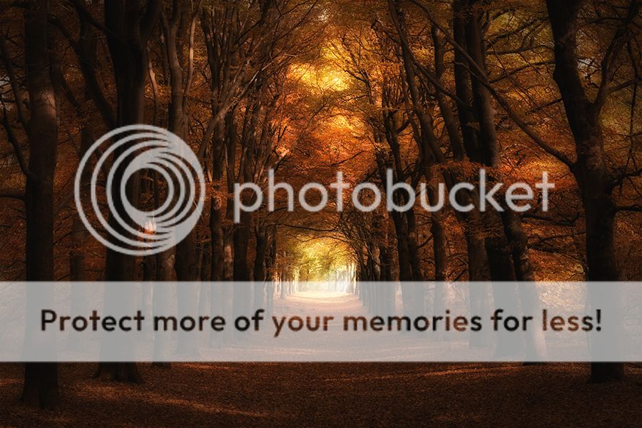 Fotografie
