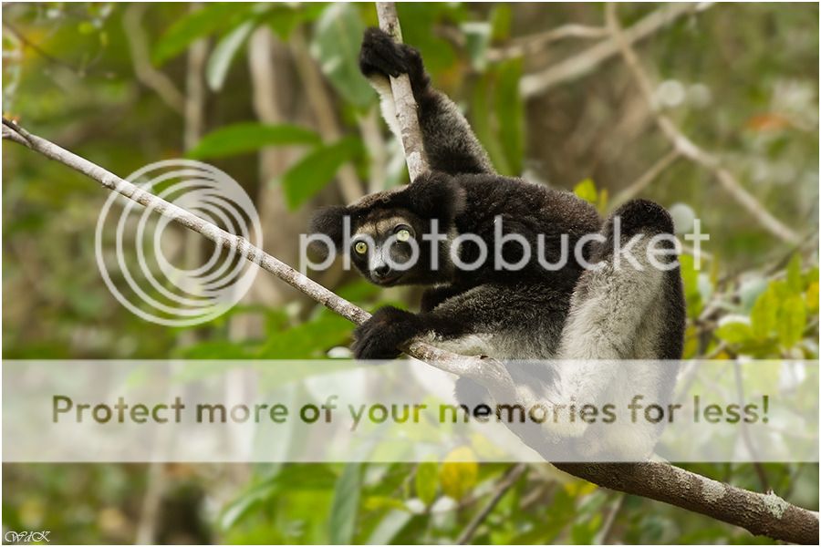 Fotografie