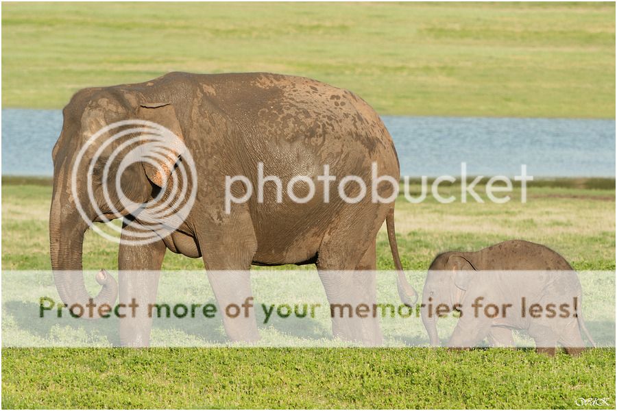 Fotografie