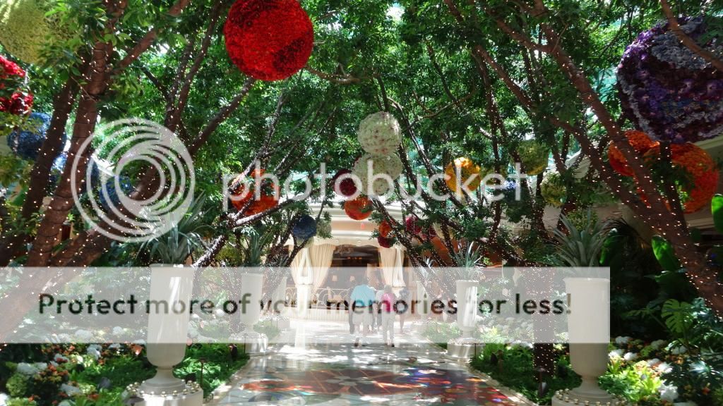 LAS VEGAS (Zona Norte de la Strip, NBA) - 35 Dias en solitario por la West Coast americana. (13)