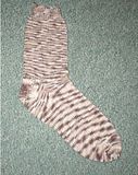 th_1stsockever001.jpg