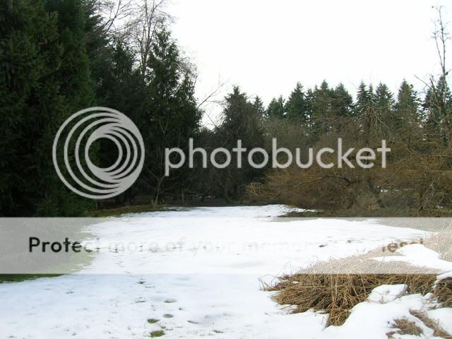 Snow in Scappoose from Dec. 2008