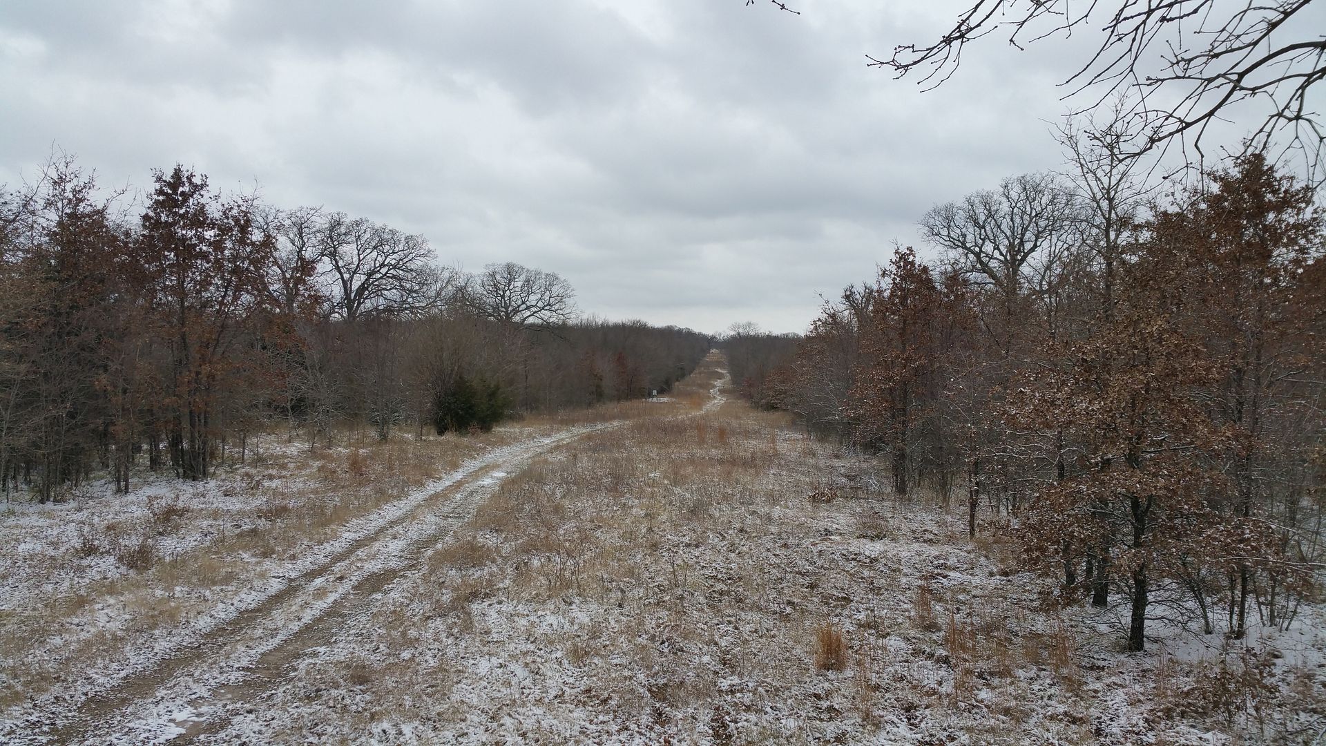 The blind is 175 yards away