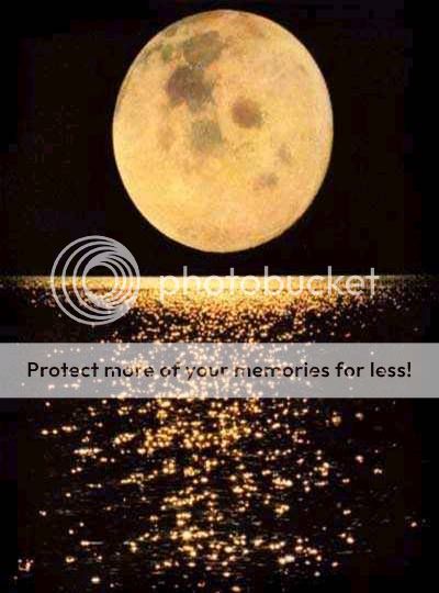 moon Pictures, Images and Photos