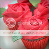 photo a1_zpsf93f205f.png