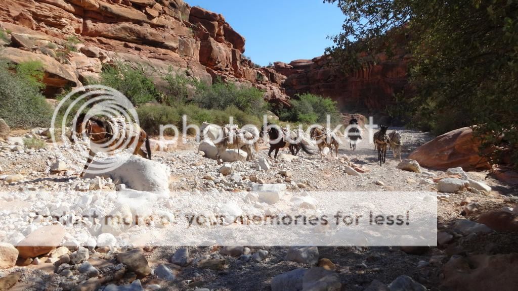 SUPAI - HAVASU FALLS - 35 Dias en solitario por la West Coast americana. (5)