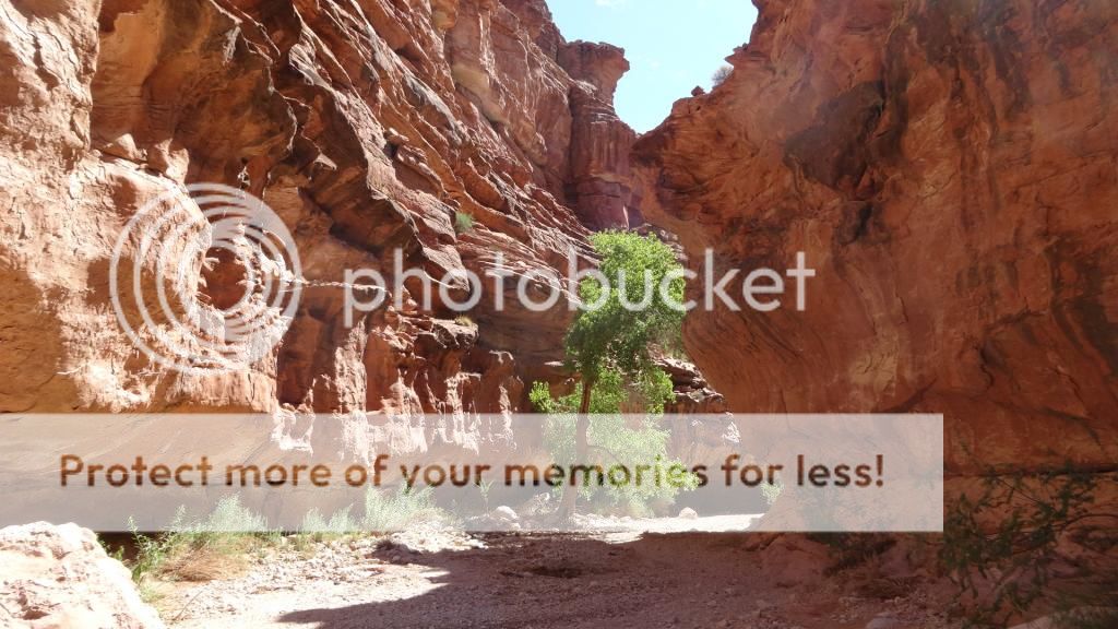 SUPAI - HAVASU FALLS - 35 Dias en solitario por la West Coast americana. (10)