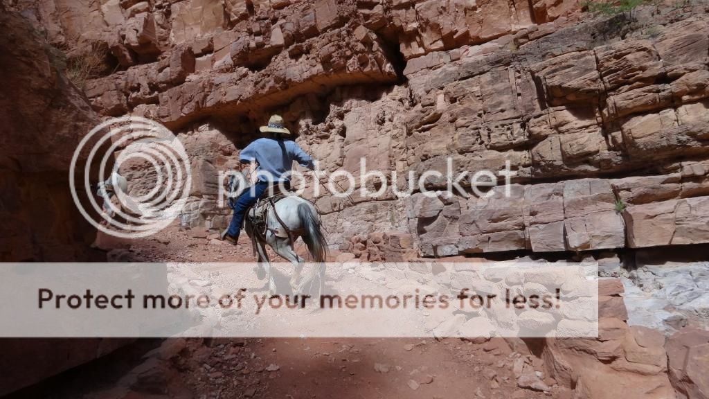 SUPAI - HAVASU FALLS - 35 Dias en solitario por la West Coast americana. (9)
